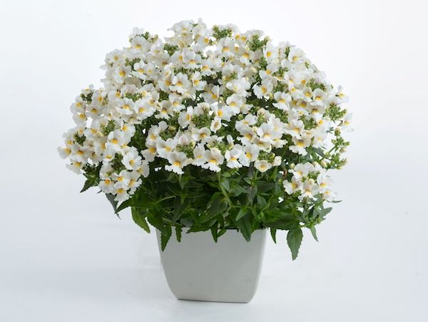 Product slider image