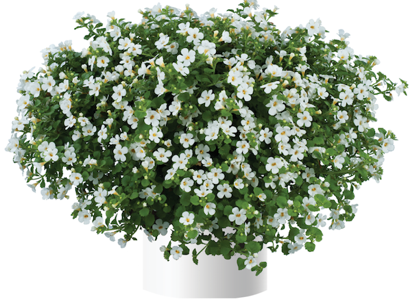 Product slider image
